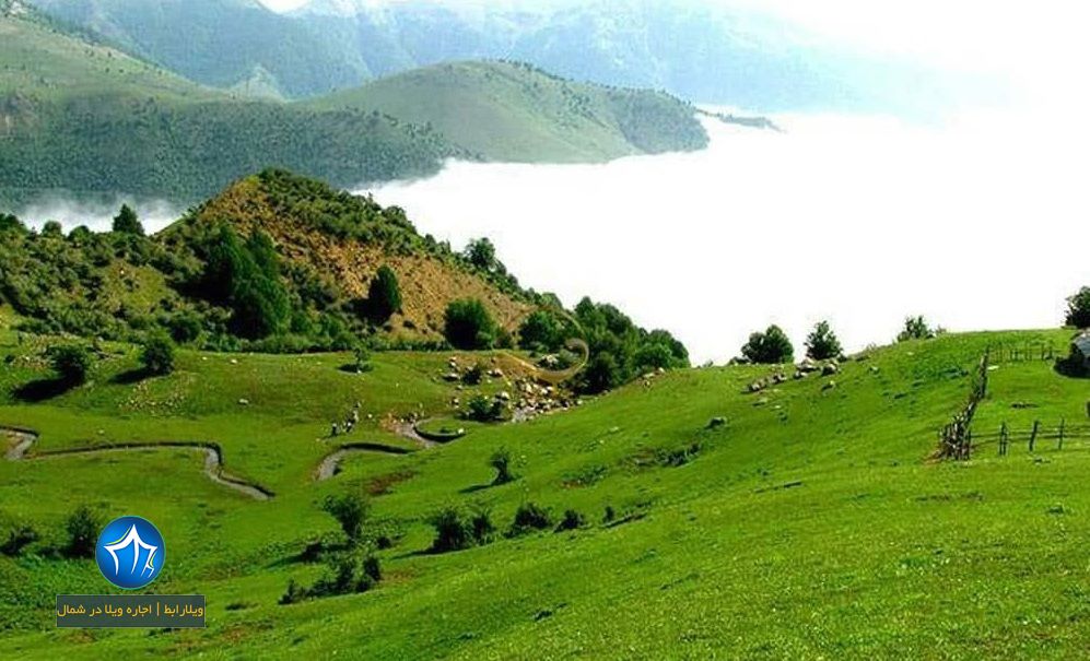 پارک جنگلی هلو دشت سایت ویلا رابط-اجاره ویلا-تور یک روزه گردشگری (۱)