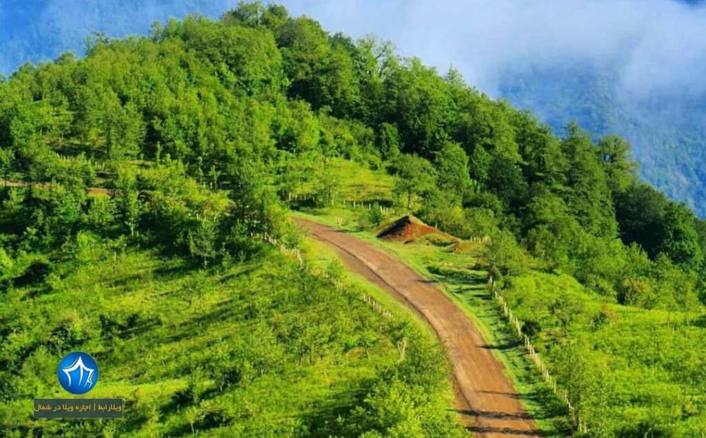 پارک جنگلی هلو دشت سایت ویلا رابط-اجاره ویلا-تور یک روزه گردشگری (۲)