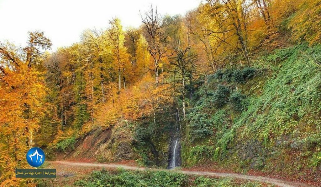 پارک جنگلی هلو دشت سایت ویلا رابط-اجاره ویلا-تور یک روزه گردشگری (۳)