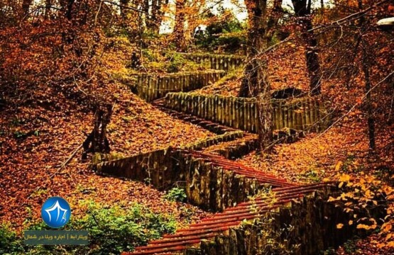 پارک جنگلی کشپل کجاست؟ پارک کشپل پارک جنگلی کشپل مازندران تور یکروزه پارک جنگلی کشپل اقامت در کشپل نور اجاره ویلا در کشپل نور (۳)