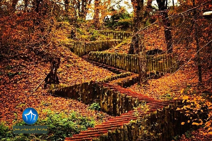 پارک جنگلی کشپل کجاست؟ پارک کشپل پارک جنگلی کشپل مازندران تور یکروزه پارک جنگلی کشپل اقامت در کشپل نور اجاره ویلا در کشپل نور (۳)