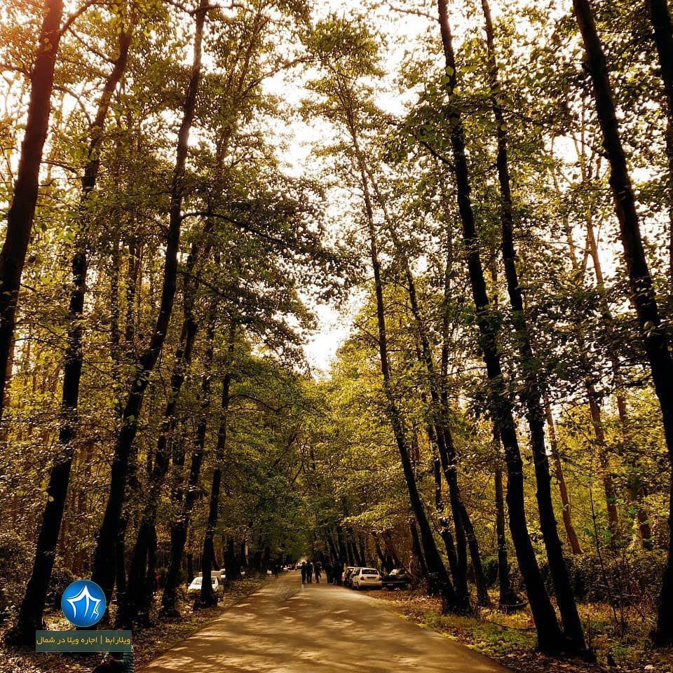 پارک جنگلی کیاشهر از زیباترین پارک های ایران (۱)