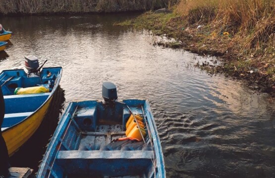 پارک-جنگلی-کیاشهر-از-زیباترین-پارک-های-ایران-4