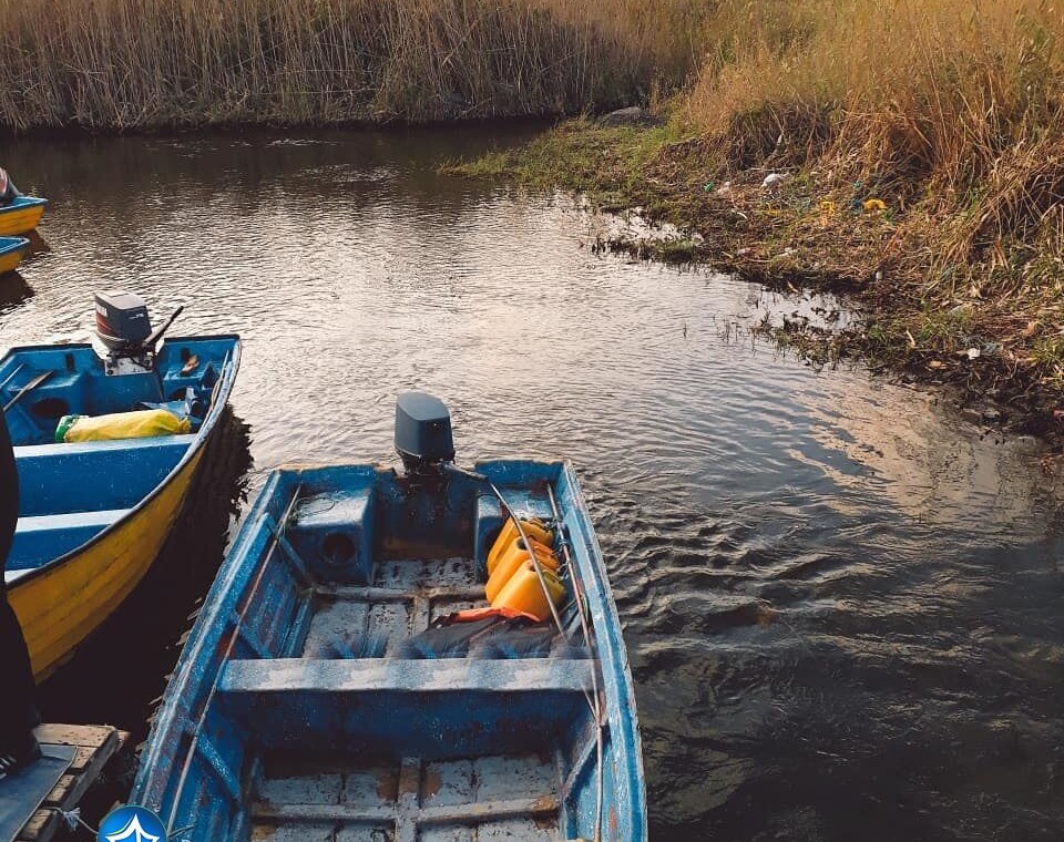 پارک-جنگلی-کیاشهر-از-زیباترین-پارک-های-ایران-4