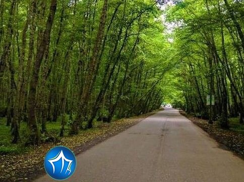 پارک جنگلی گیسوم تالش تالش، استان گیلان، ویلارابط، اجاره‌ی ویلا در تالش، تورهای گردشگری یک روزه