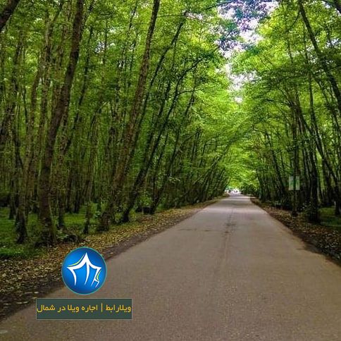 پارک جنگلی گیسوم تالش تالش، استان گیلان، ویلارابط، اجاره‌ی ویلا در تالش، تورهای گردشگری یک روزه