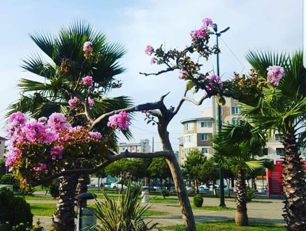 پارک ساحلی انزلی پارک ساحلی بلوار قدس انزلی پارک تفنگ به سمت شوری انزلی ویلارابط جاذبه گردشگری انزلی (۳)