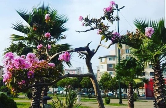 پارک ساحلی انزلی پارک ساحلی بلوار قدس انزلی پارک تفنگ به سمت شوری انزلی ویلارابط جاذبه گردشگری انزلی (۳)