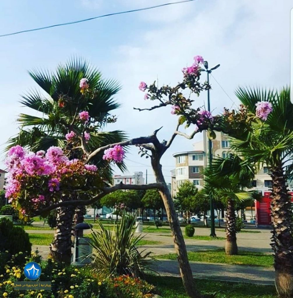 پارک ساحلی انزلی پارک ساحلی بلوار قدس انزلی پارک تفنگ به سمت شوری انزلی ویلارابط جاذبه گردشگری انزلی (۳)