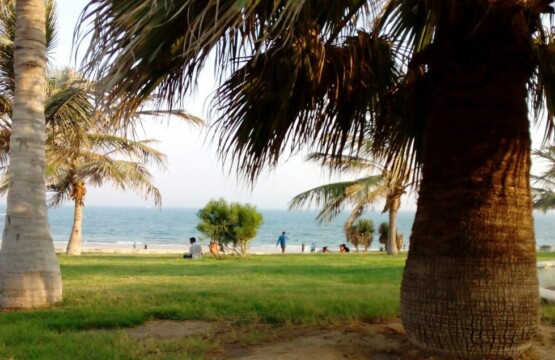 پارک ساحلی زیتون قشم-تفریحات پارک زیتون قشم-ساحل پارک زیتون قشم-پارک زیتون جزیره قشم-پارک زیتون ساحل قشم-پارک زیتون در قشم