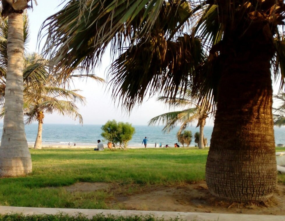 پارک ساحلی زیتون قشم-تفریحات پارک زیتون قشم-ساحل پارک زیتون قشم-پارک زیتون جزیره قشم-پارک زیتون ساحل قشم-پارک زیتون در قشم