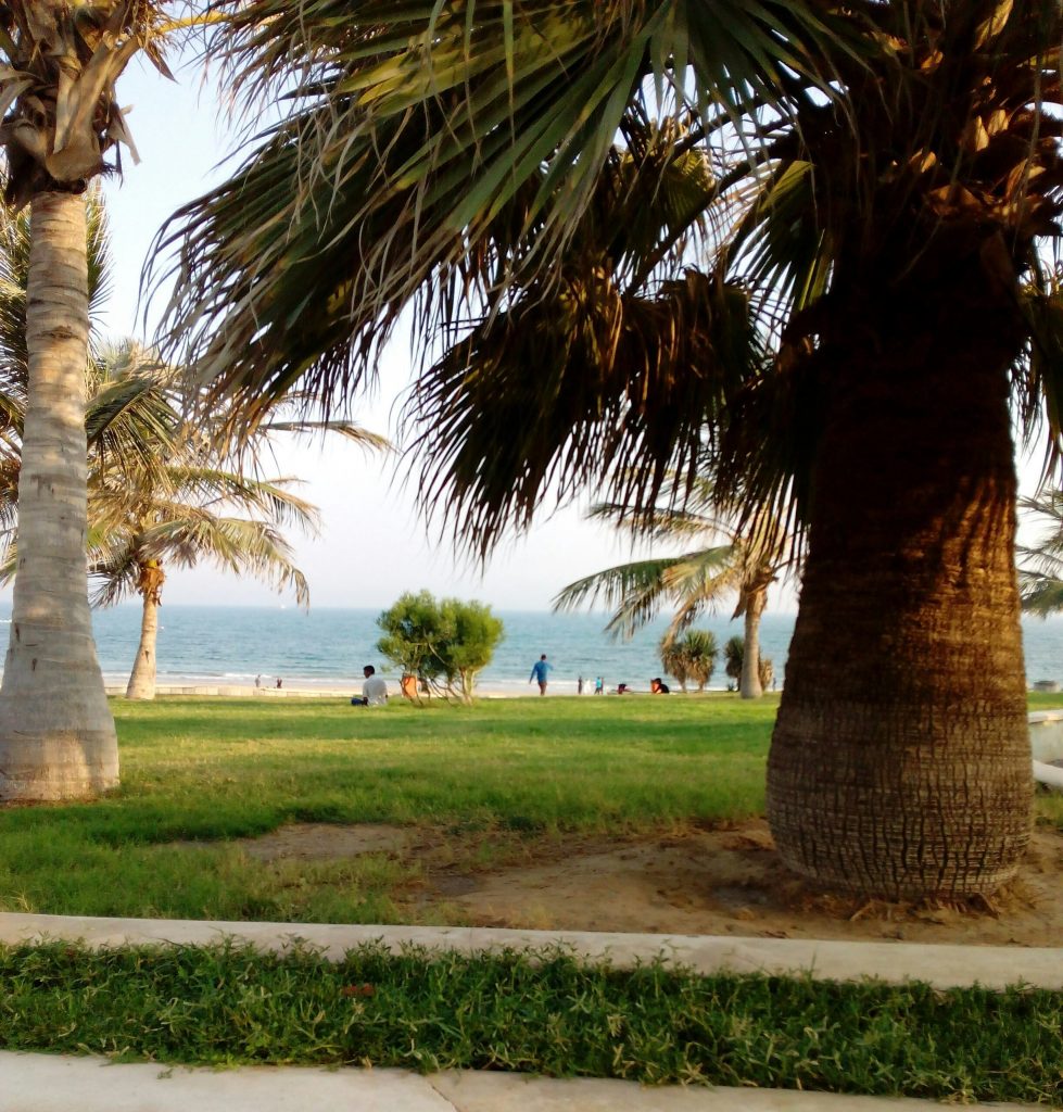 پارک ساحلی زیتون قشم-تفریحات پارک زیتون قشم-ساحل پارک زیتون قشم-پارک زیتون جزیره قشم-پارک زیتون ساحل قشم-پارک زیتون در قشم