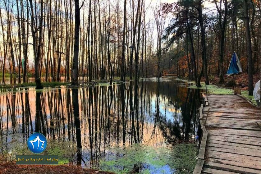 پارک سراوان-پارک جنگلی سراوان در رشت-امکانات پارک جنگلی سراوان رشت- پارک جنگلی سراوان رشت کجاست-پارک جنگلی سراوان در گیلان