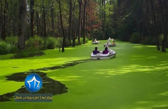 پارک سراوان-پارک جنگلی سراوان در رشت-امکانات پارک جنگلی سراوان رشت- پارک جنگلی سراوان رشت کجاست-پارک جنگلی سراوان در گیلان۲