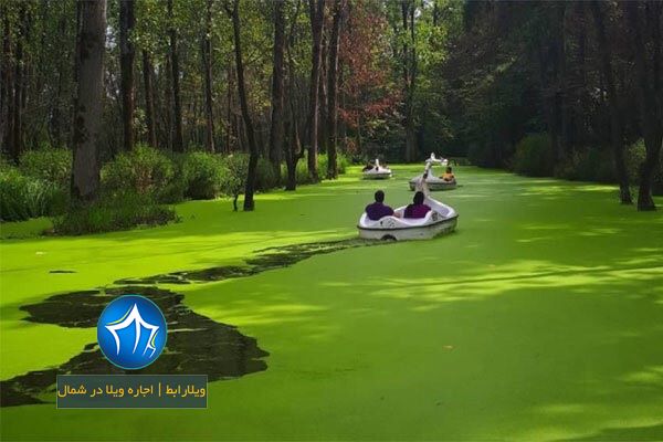 پارک سراوان-پارک جنگلی سراوان در رشت-امکانات پارک جنگلی سراوان رشت- پارک جنگلی سراوان رشت کجاست-پارک جنگلی سراوان در گیلان۲