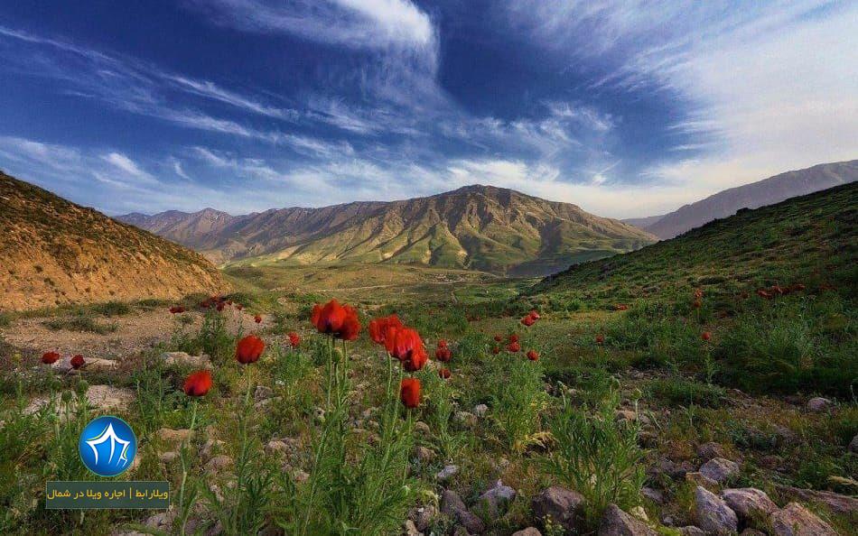 پارک ملی لار پارک ملی لار کجاست جاذبه گردشگری لار عکس پارک ملی لار تصاویر پارک لار حیات وحش لار دریاچه منطقه حفاظت شده لار (۳)