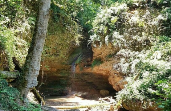 پلنگدره-آبشار-پلنگ-دره-تور-ابشار-پلنگدره-شیرگاه-جنگل-پلنگ-دره-کجاست-)-(۲)