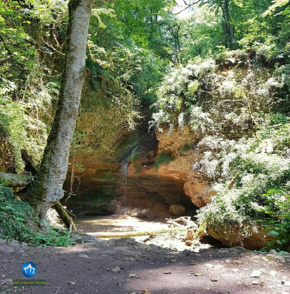پلنگدره-آبشار-پلنگ-دره-تور-ابشار-پلنگدره-شیرگاه-جنگل-پلنگ-دره-کجاست-)-(۲)