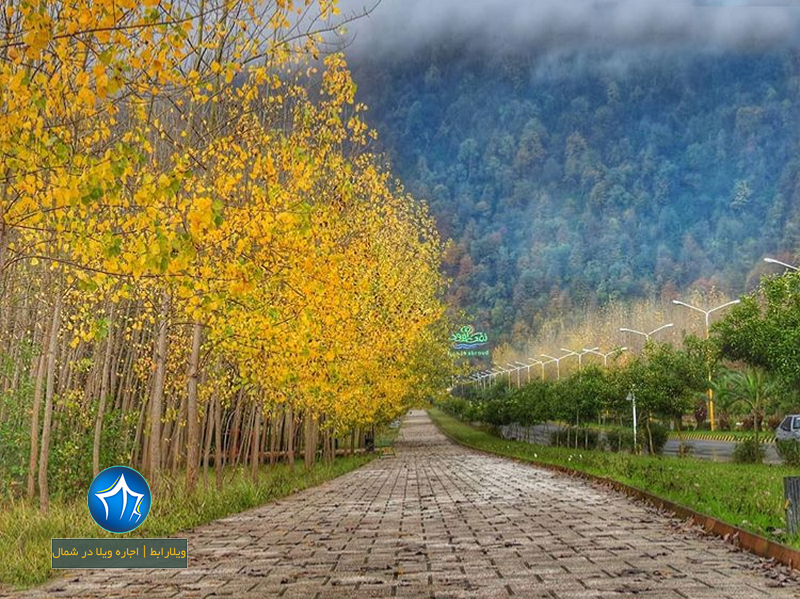 پیاده روی جنگلی نمک آبرود