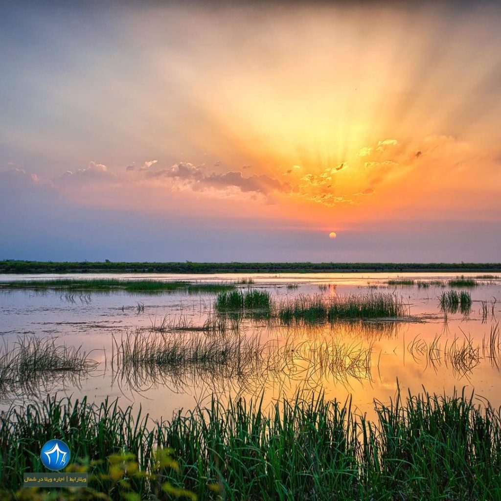 چشم انداز و جاذبه های اطراف رودخانه سفید رود رودبار کجاست ؟ (۲)