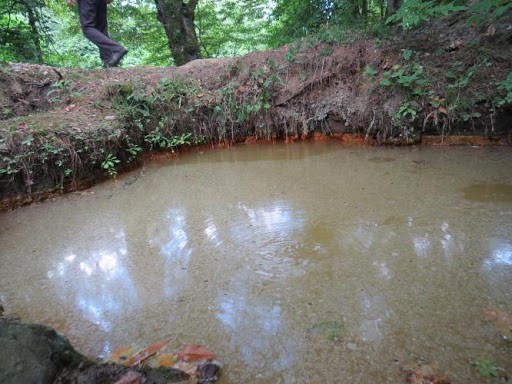 چشمه آب شور لاکان گیلان- چشمه ی آب شور لاکان-آدرس چشمه آب شور لاکان-تصاویر چشمه آب شور لاکان- چشمه آب شور لاکان رشت کجاست۲