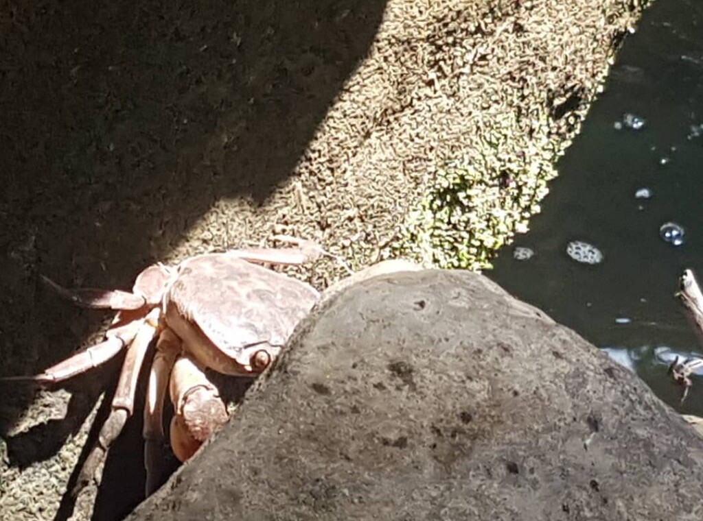 چشمه کلشتر (منجیل) رودبار (۲)