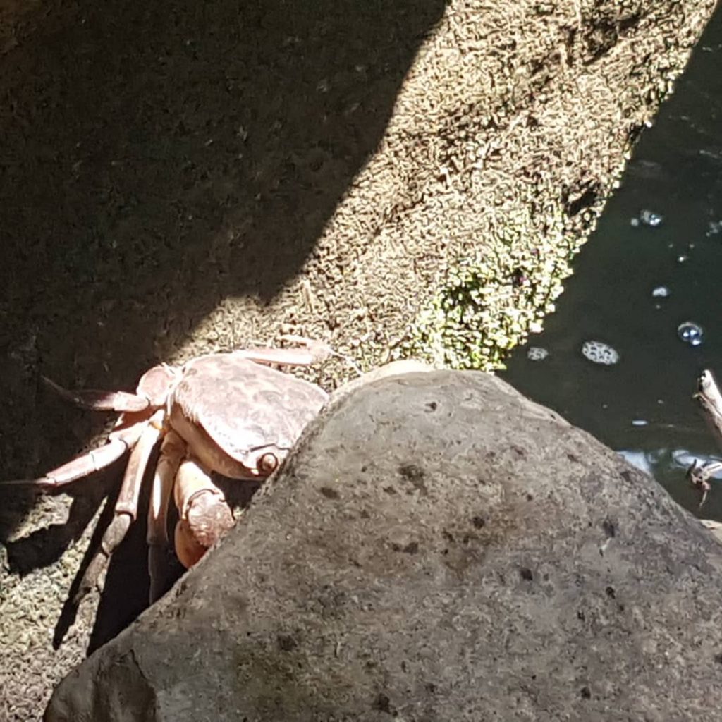 چشمه کلشتر (منجیل) رودبار (۲)