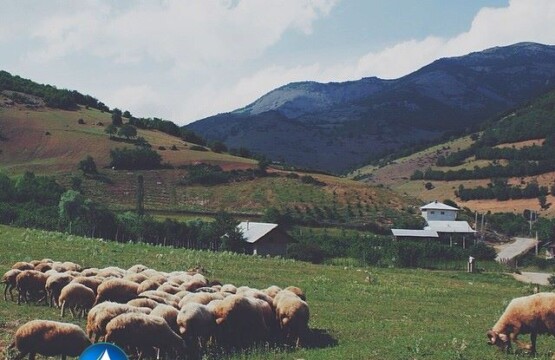 یخچال طبیعی ملجا دشت جاره ویلا-سایت ویلا رابط-تور یک روزه (۲)