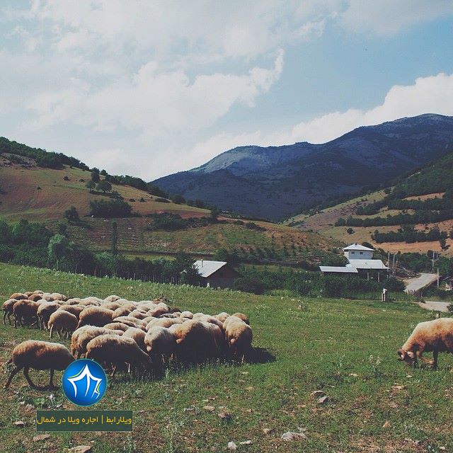 یخچال طبیعی ملجا دشت جاره ویلا-سایت ویلا رابط-تور یک روزه (۲)