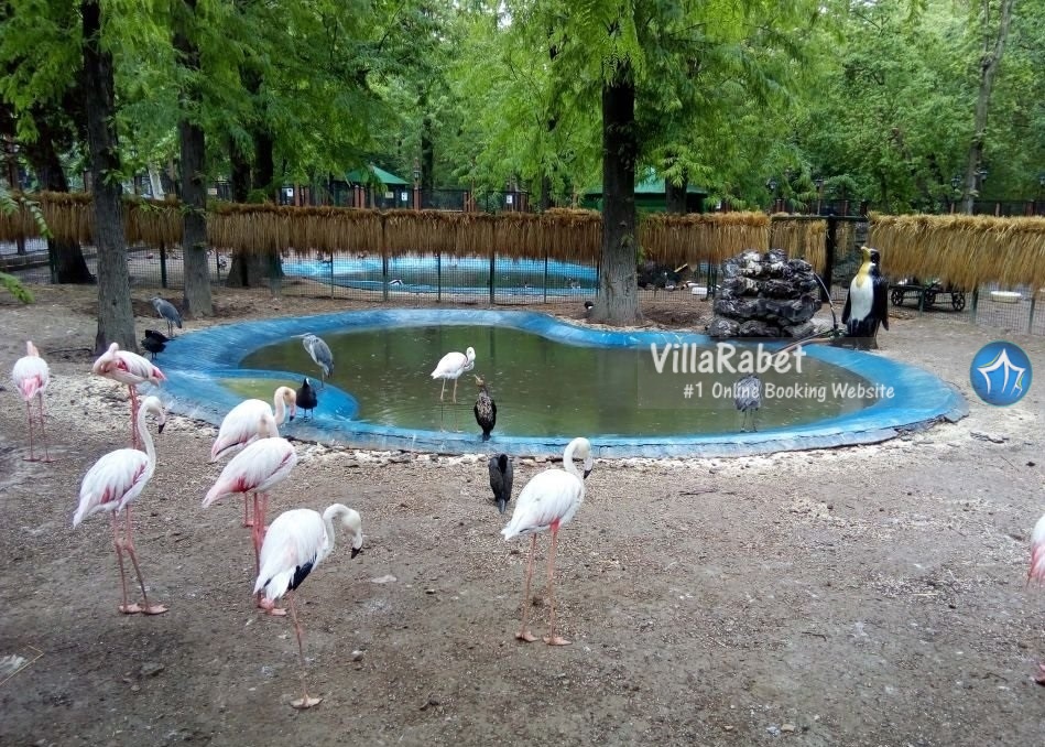 پارک شهر تهران-پارک شهر کجاست-پارک شهر در تهران-آدرس پارک شهر-آکواریوم پارک شهر