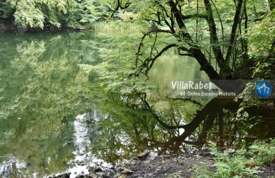 جاده معدن نوشهر جاده فراخین نوشهر جاده آبشار دارنو جاده معدن نوشهر کجاست عکس جاده معدن جنگل جاده معدن نوشهر (1)