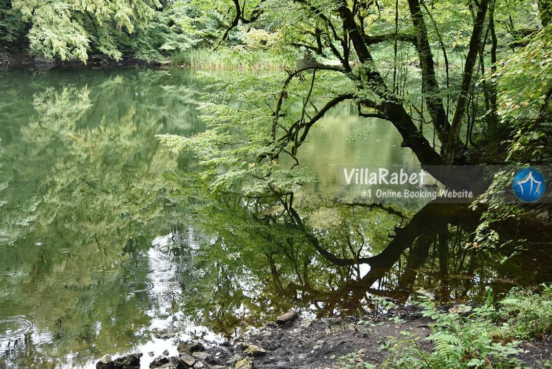 جاده معدن نوشهر جاده فراخین نوشهر جاده آبشار دارنو جاده معدن نوشهر کجاست عکس جاده معدن جنگل جاده معدن نوشهر (1)