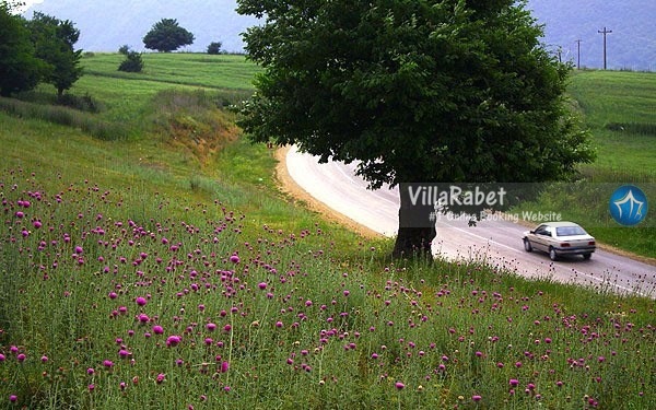 اجاره سوئیت تعطیلات-اجاره ویلا در تعطیلات-اجاره ویلا در شمال اجاره ویلا تعطیلات خرداد2