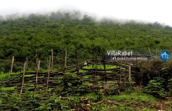 جاذبه های دیدنی محمود آباد-جاذبه های گردشگری محمودآباد-اجاره ویلا در محمودآباد-اجاره ویلا محمودآباد-جاذبه های محمود آباد 4 جای دیدنی محمودآباد که بعد از اجاره ویلا باید رفت