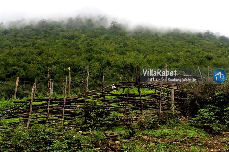 جاذبه های دیدنی محمود آباد-جاذبه های گردشگری محمودآباد-اجاره ویلا در محمودآباد-اجاره ویلا محمودآباد-جاذبه های محمود آباد 4 جای دیدنی محمودآباد که بعد از اجاره ویلا باید رفت