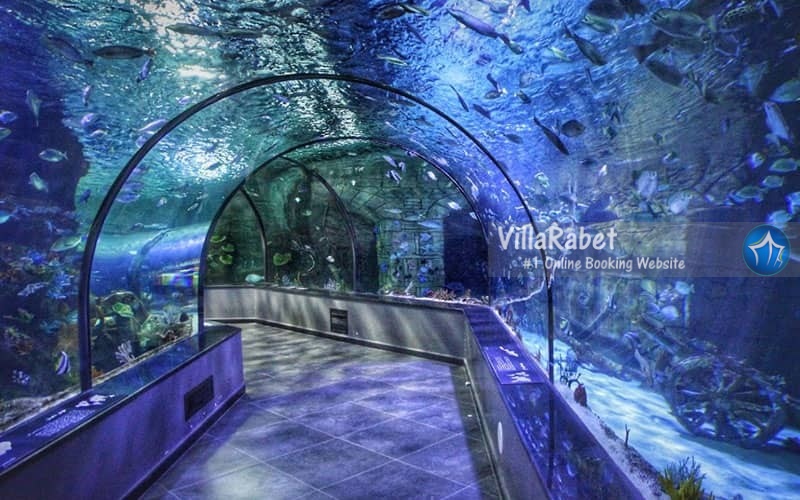 اجاره ویلا انزلی-جاذبه های دیدنی انزلی-جاذبه های گردشگری انزلی-جاهای دیدنی بندر انزلی چه جاذبه هایی با اجاره ویلا در انزلی وجود دارد؟