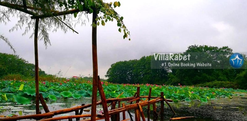 اجاره ویلا لاهیجان-دیدنی های لاهیجان-جاذبه های گردشگری لاهیجان-جاهای دیدنی لاهیجان- 4 کاری که بعد از اجاره ویلا در لاهیجان باید انجام داد