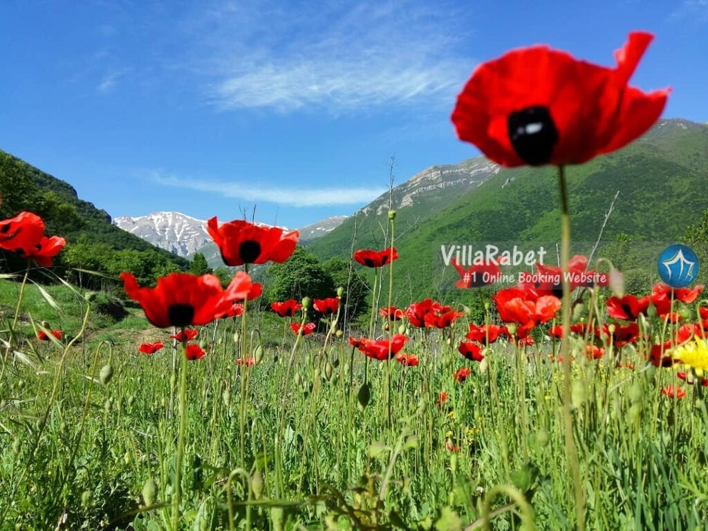 جاذبه گردشگری زانوس جاذبه گردشگری دهکده زانوس روستای زانوس (2)