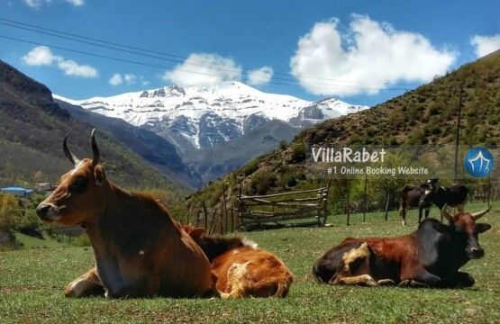 طبیعت زانوس عکس های روستای زانوس دهکده گردشگری زانوس روستای زانوس کجاست دهکده گردشگری زانوس اجاره کلبه زانوس (2)