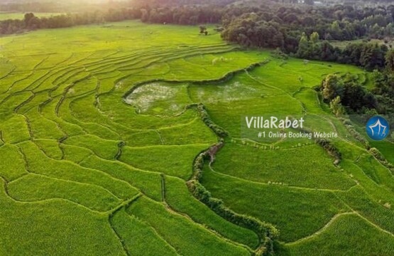 روستای زمیدان اجاره ویلا در روستای زمیدان اجاره ویلا روستای زمیدان لاهیجان (1)