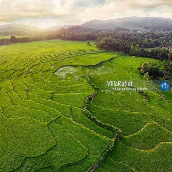 روستای زمیدان اجاره ویلا در روستای زمیدان اجاره ویلا روستای زمیدان لاهیجان (1)