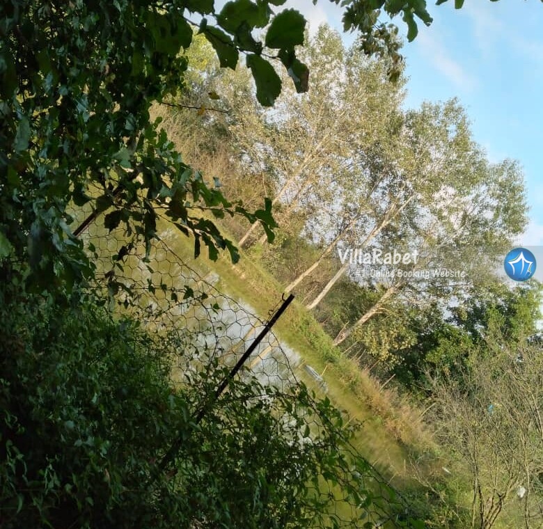 اجاره ویلای ارامش املش