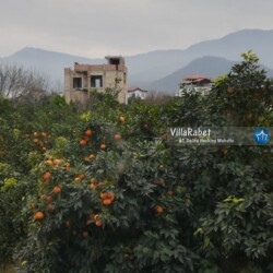 اجاره ویلا استخردار جنگلی کیله کنار (2)