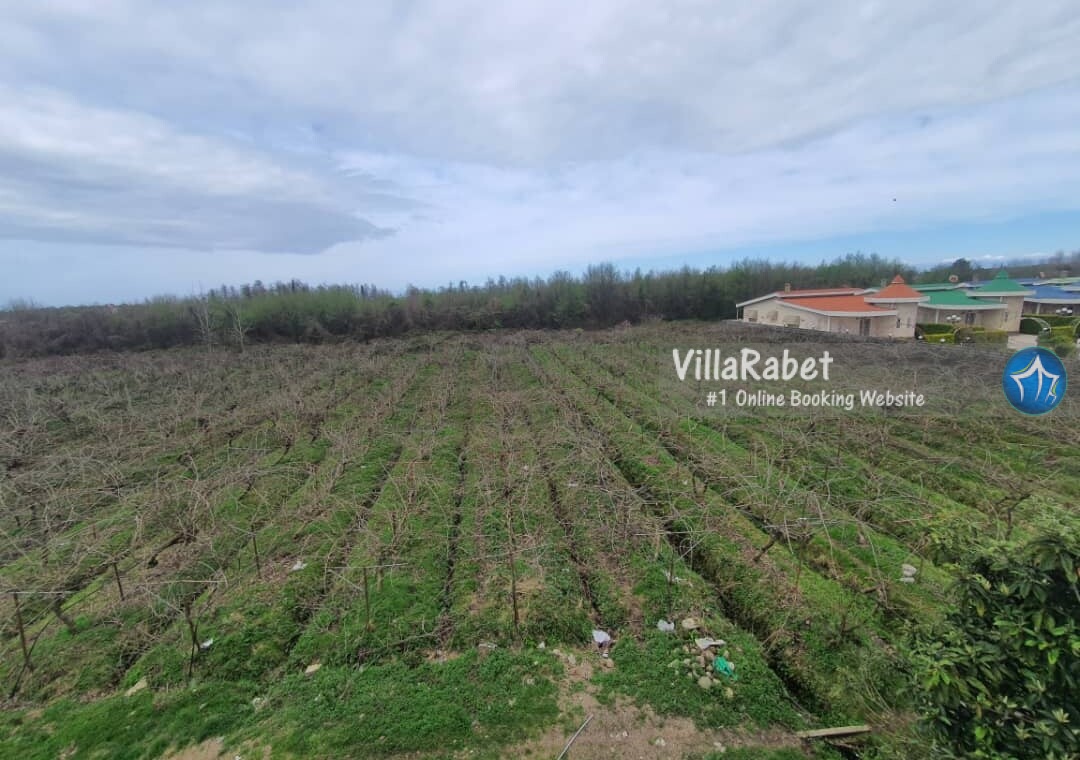 تیلورسر کجاست تیلورسر مازندران اجاره ویلا استخردار سه خوابه در تیلورسر متل قو (16)