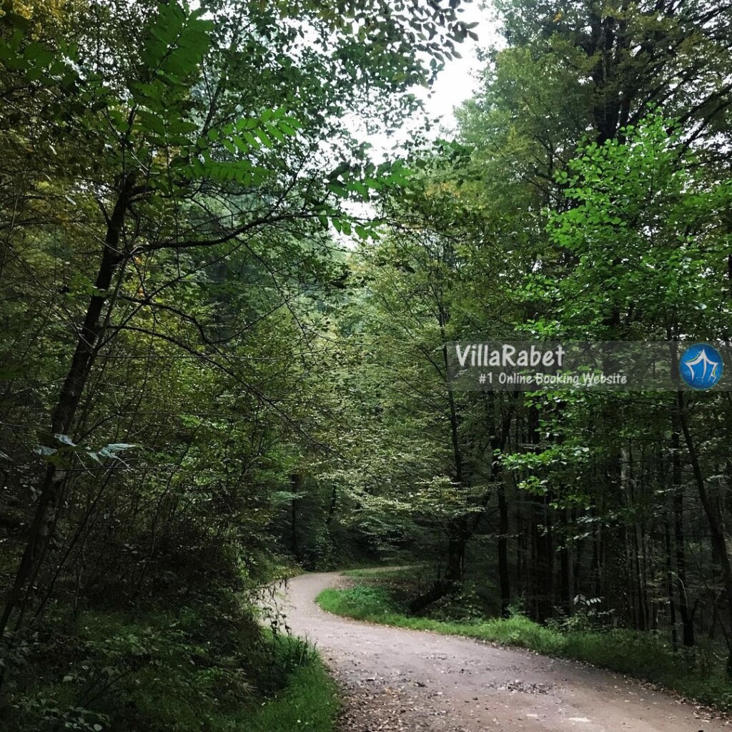 اجاره ویلا تیله کنار (1)