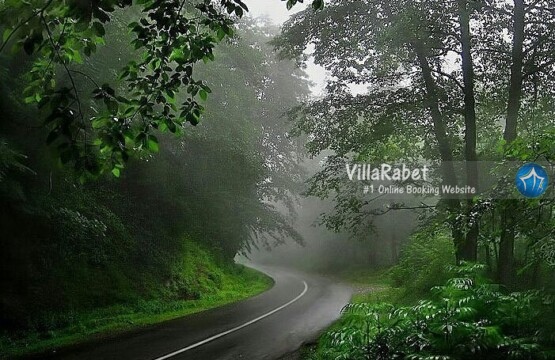 اجاره ویلا در جیسا جنگل جیسا اقامت در جیسا (1)