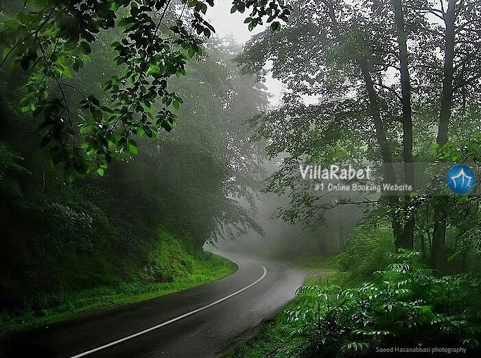 اجاره ویلا در جیسا جنگل جیسا اقامت در جیسا (1)