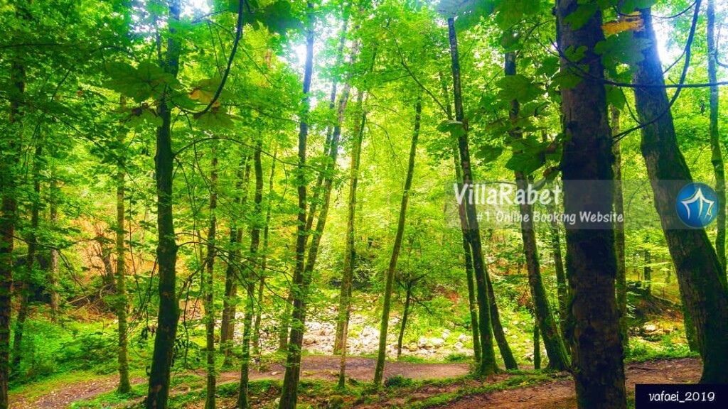 اجاره ویلا در دانیال رزرو ویلا در دانیال