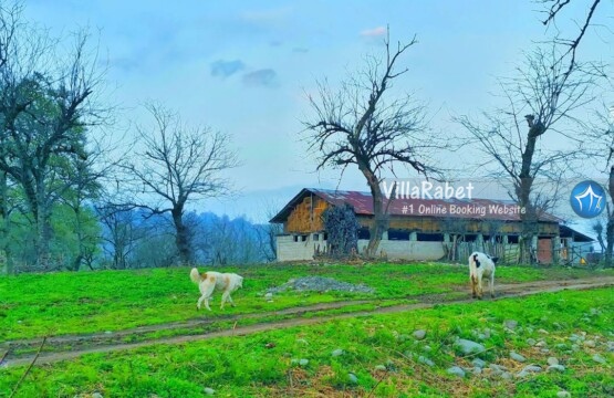 اجاره ویلا لفور