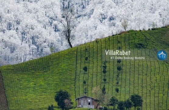 جاذبه های گردشگری ماسال کجاست ؟ اجاره ویلا ماسال اجاره کلبه ماسال اجاره ماسال (4)